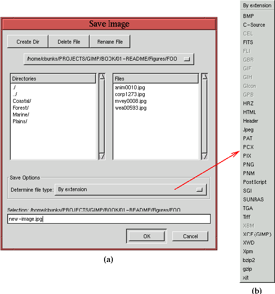 Figure 1.10